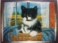 /album/bildgalleri/a941889-115800901962999-1754055227-n-jpg/