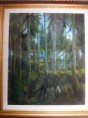 /album/bildgalleri/a984224-115805408629215-1190600672-n-jpg/